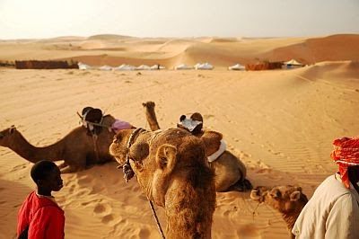 世界で最も暑い国トップ10を紹介